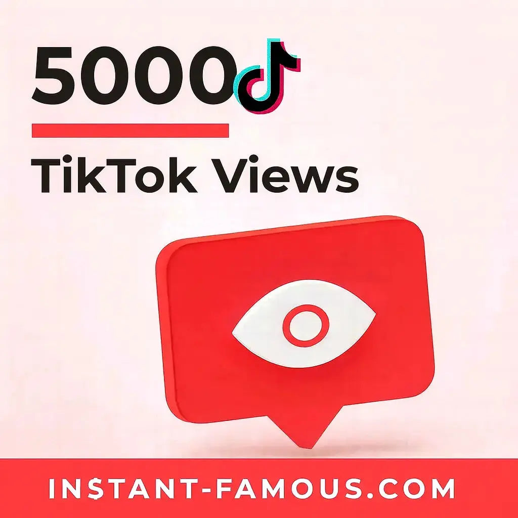 TikTok Marketing Campaign 