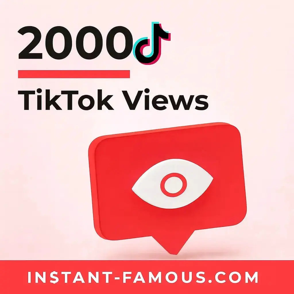 TikTok Marketing Campaign 