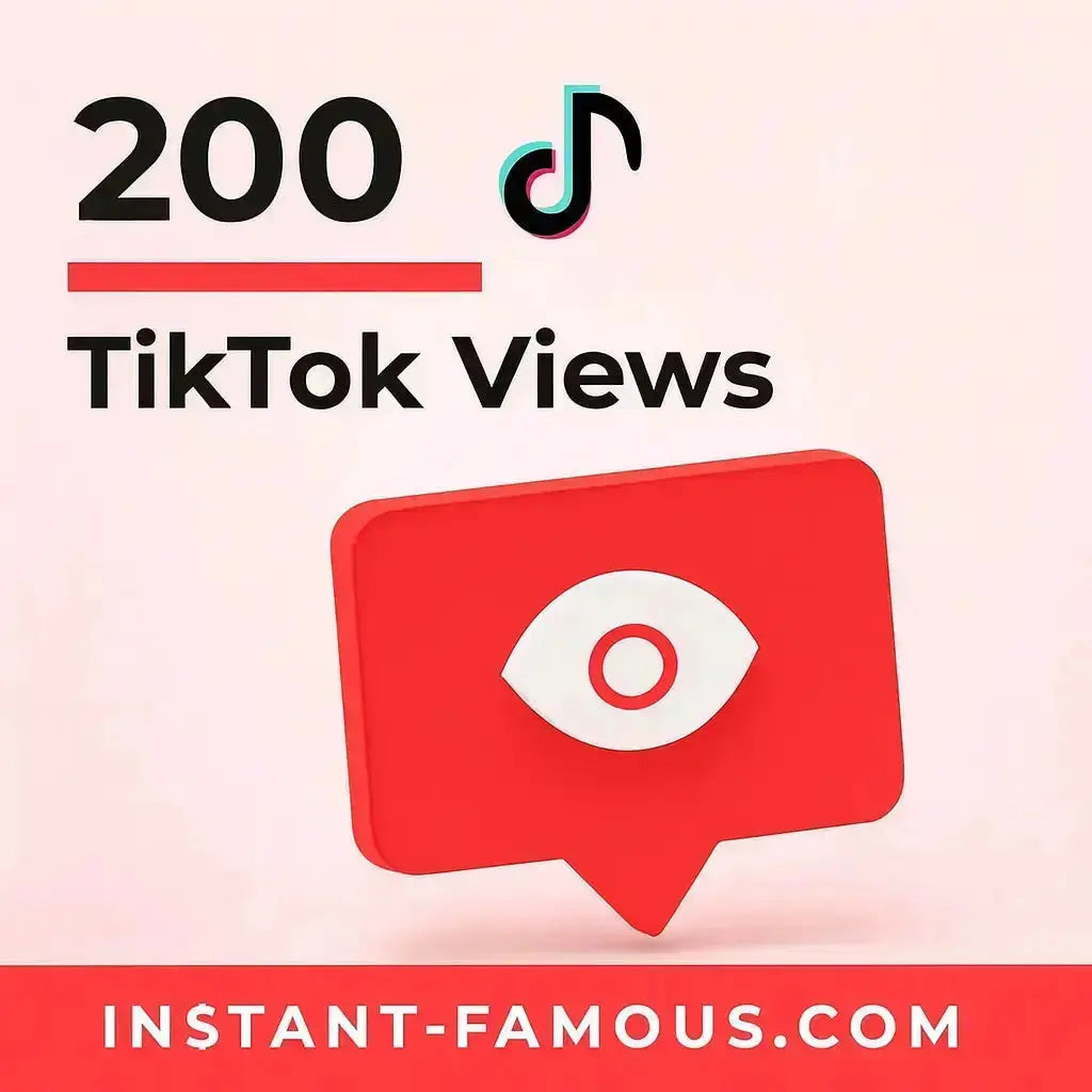 TikTok Marketing Campaign 