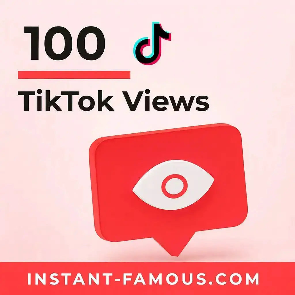 TikTok Marketing Campaign 