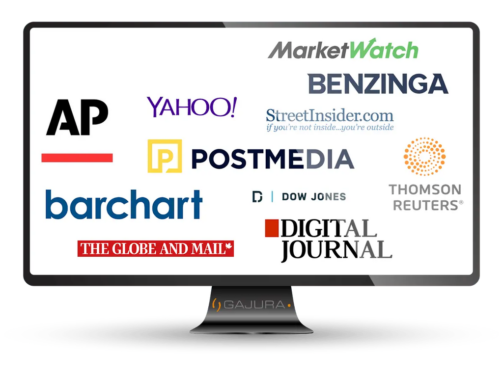 ELITE Press Release Writing and Distribution 