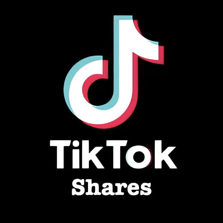 TikTok Marketing Campaign 